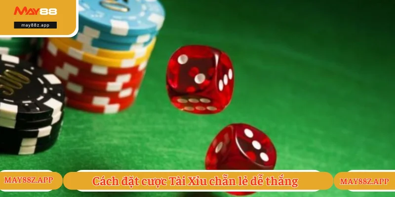 Kinh nghiệm chọn cược chuẩn xác từ cao thủ