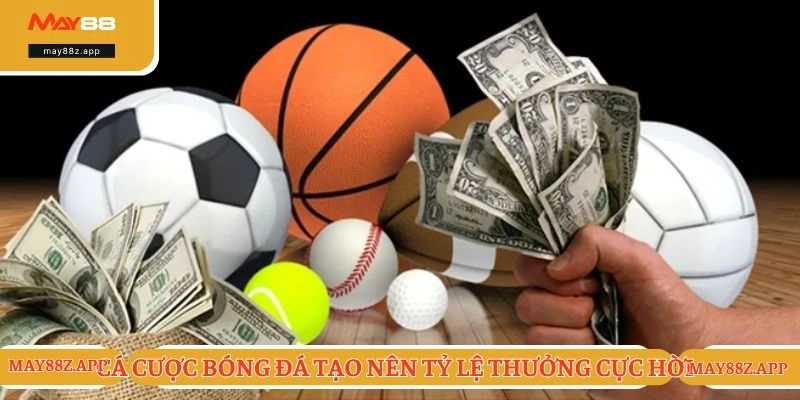 Cá cược bóng đá tạo nên tỷ lệ thưởng cực hời 