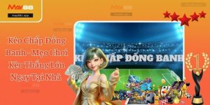 Kèo Chấp Đồng Banh - Mẹo Chơi Kèo Thắng Lớn Ngay Tại Nhà