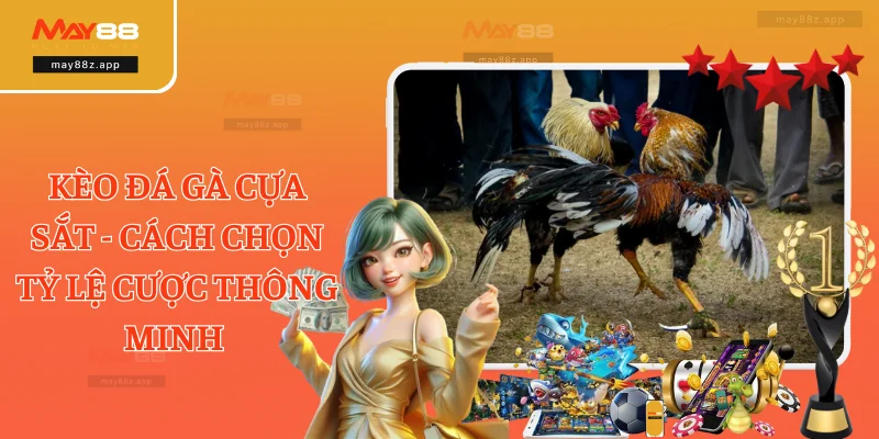 Kèo Đá Gà Cựa Sắt - Cách Chọn Tỷ Lệ Cược Thông Minh