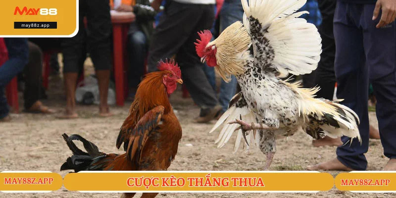 Chọn cược kèo thắng - thua hấp dẫn